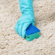 How to Deep Clean Shag and High Pile Carpets