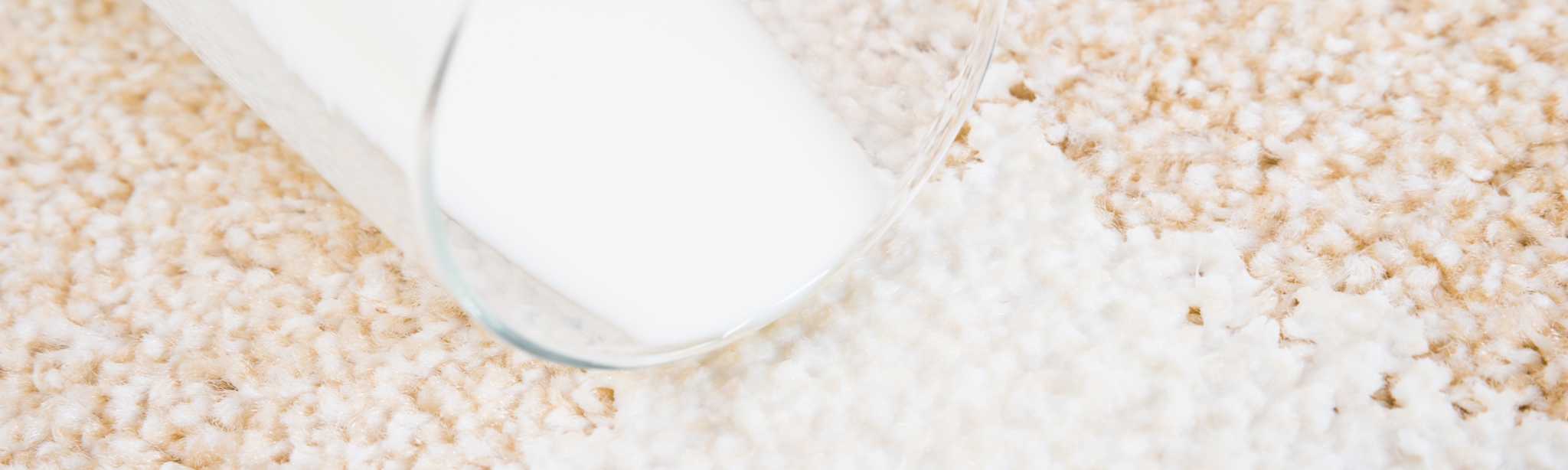 Glass of milk spilling on carpet